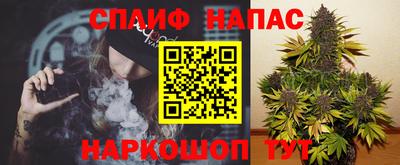 молекула духа Славгород