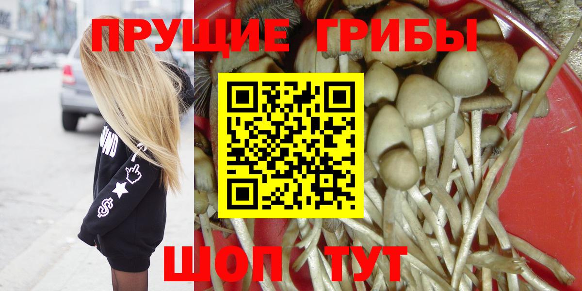 Псилоцибиновые грибы Magic Shrooms Павлово